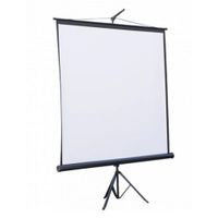 Экран переносной ATRIA 11 3"(1:1)203*203см ECO TRM-AV-80