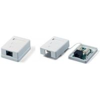 Розетка 1xRJ45 EvroMedia (MB-UTP1)