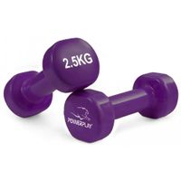 Гантель PowerPlay 4125 Achilles 2.5 кг Фиолетовая (PP_4125_2.5kg)