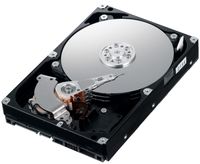Жорсткий диск 3.5" 500Gb Western Digital AV-GP, SATA2, 16Mb, 5400 rpm (WD5000AVCS) (Ref)